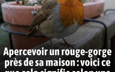 Je ne savais pas que cela voulait dire ça