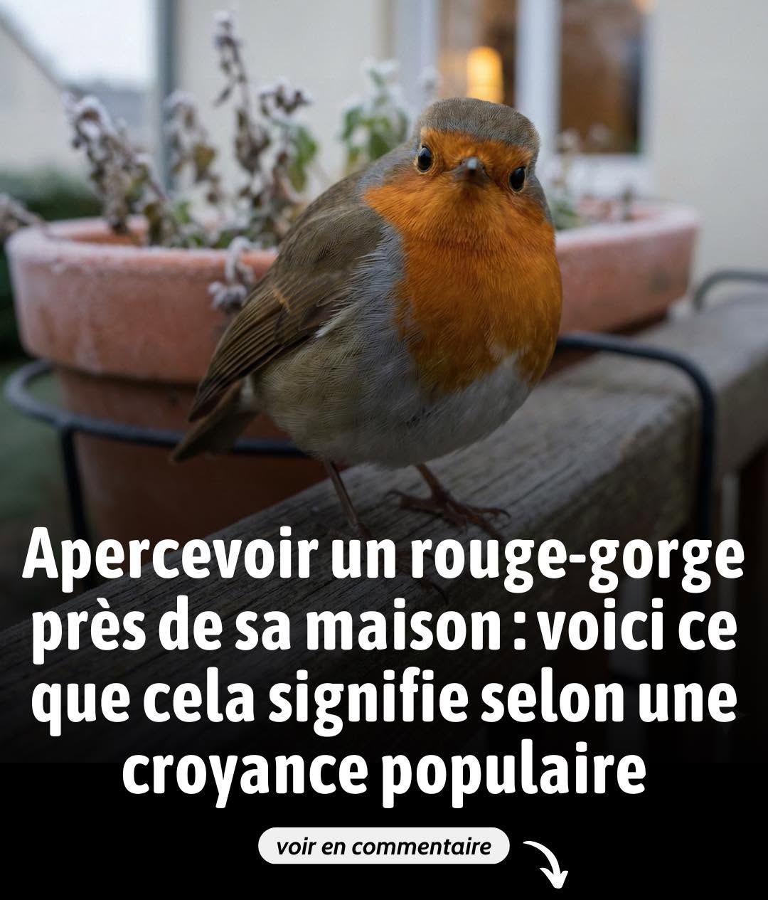 Je ne savais pas que cela voulait dire ça