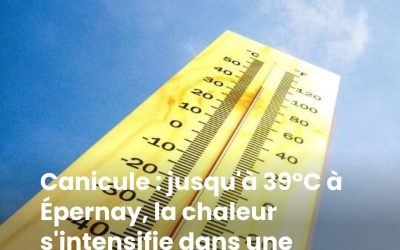 Canicule : jusqu'à 39°C à Épernay, la chaleur s'intensifie dans une grande partie de la France