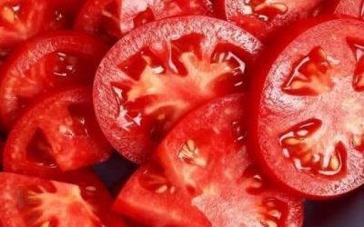Tomates tranchées : comment les conserver