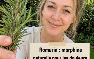 Si vous vous réveillez régulièrement entre 2 et 3 heures du matin, il peut être utile d'en comprendre les causes et comment y remédier.