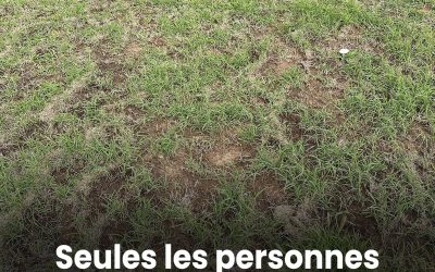 Tout le monde voit le gazon, mais seuls ceux à la vision perçante repèrent le serpent en moins de 30 secondes.