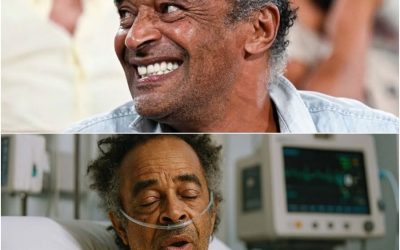 Yannick Noah, 65 ans ! Il laisse derrière lui une fortune qui a fait pleurer sa famille. – dw