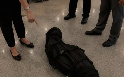 J'ai accepté de surveiller le sac d'un inconnu à l'aéroport – je l'ai regretté dès que les agents de sécurité et la police sont arrivés
