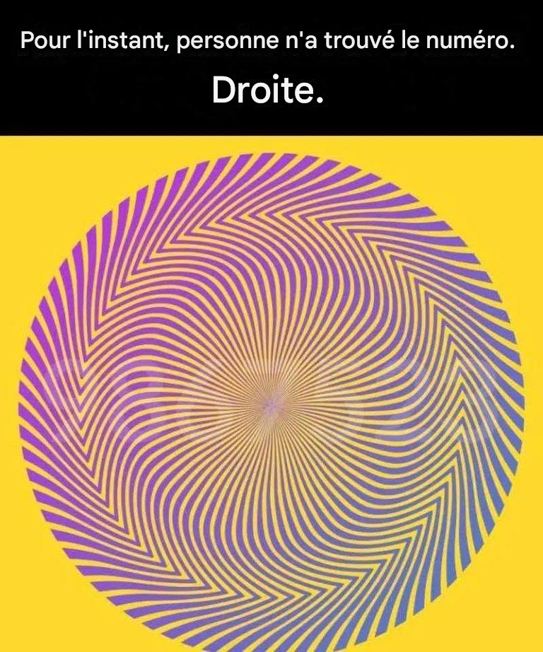 Saurez-vous repérer le nombre caché dans cette illusion d’optique ?