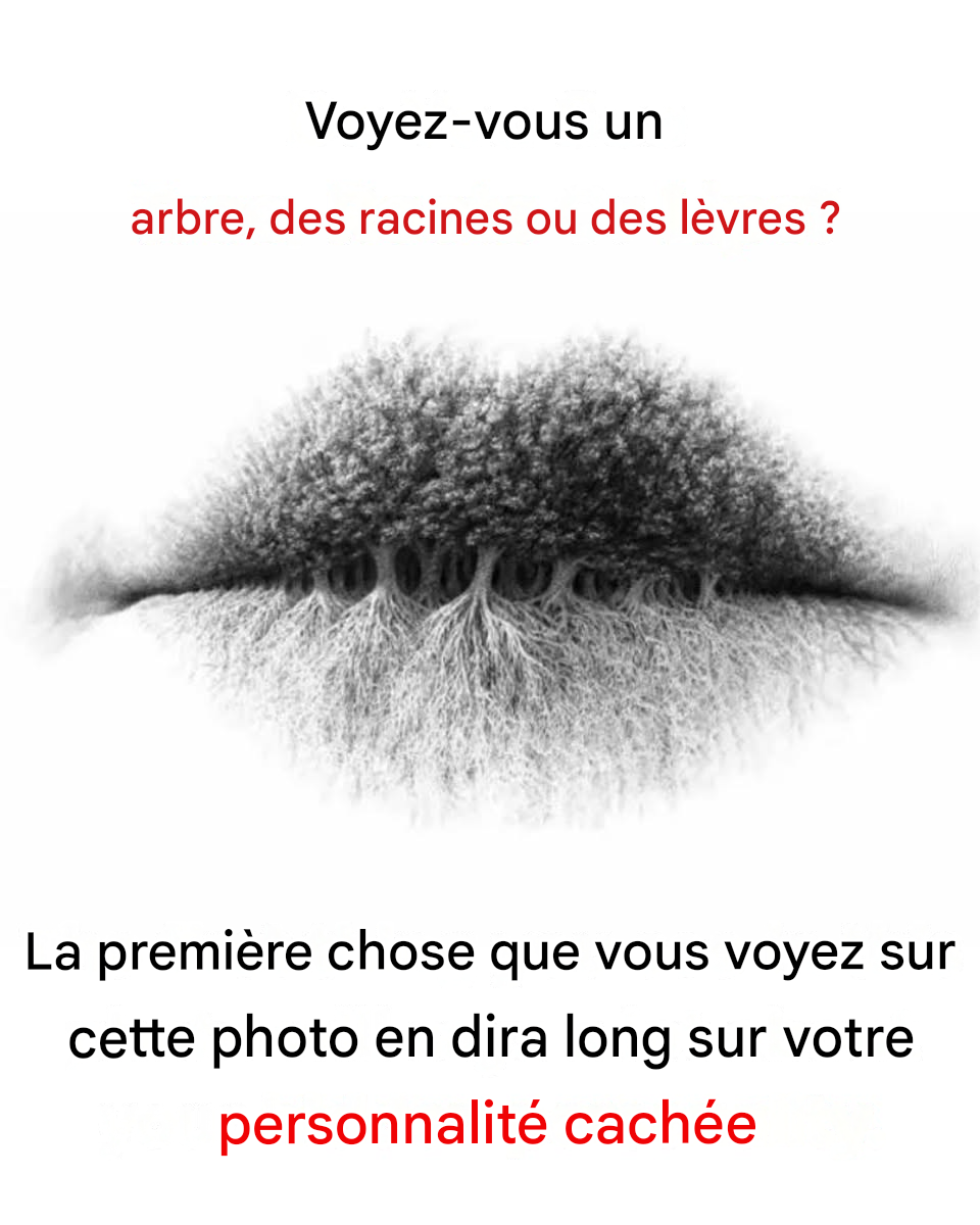 La première chose que vous voyez sur cette photo en dit long sur votre personnalité. Qu'avez-vous vu en premier ?