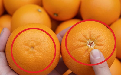 La surprenante différence entre les oranges Navel grosses et petites
