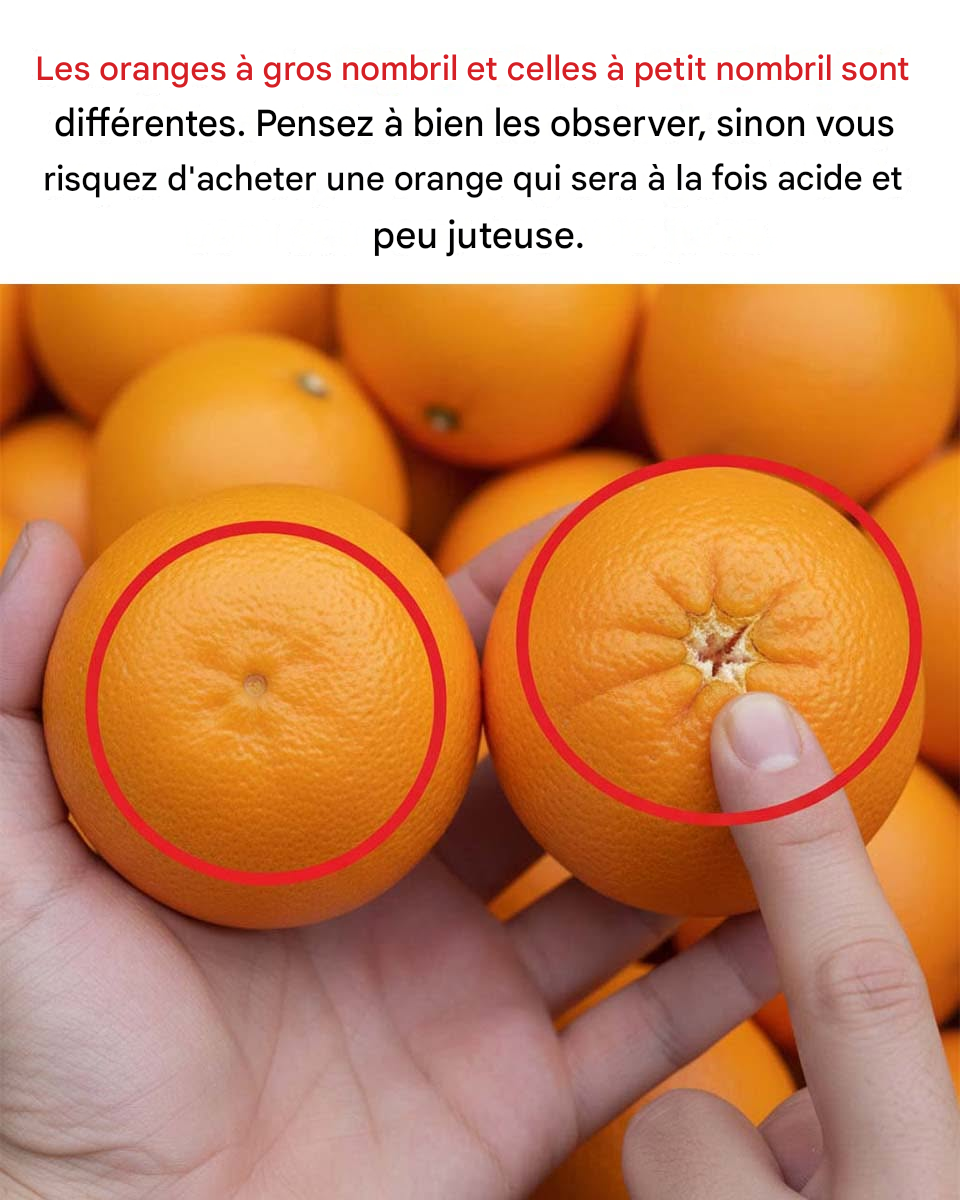 La surprenante différence entre les oranges Navel grosses et petites