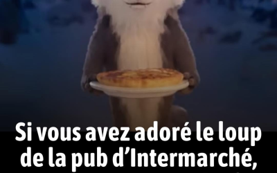 Si vous avez adoré le loup de la pub d’Intermarché, vous avez ces 3 traits de personnalité selon ce psy