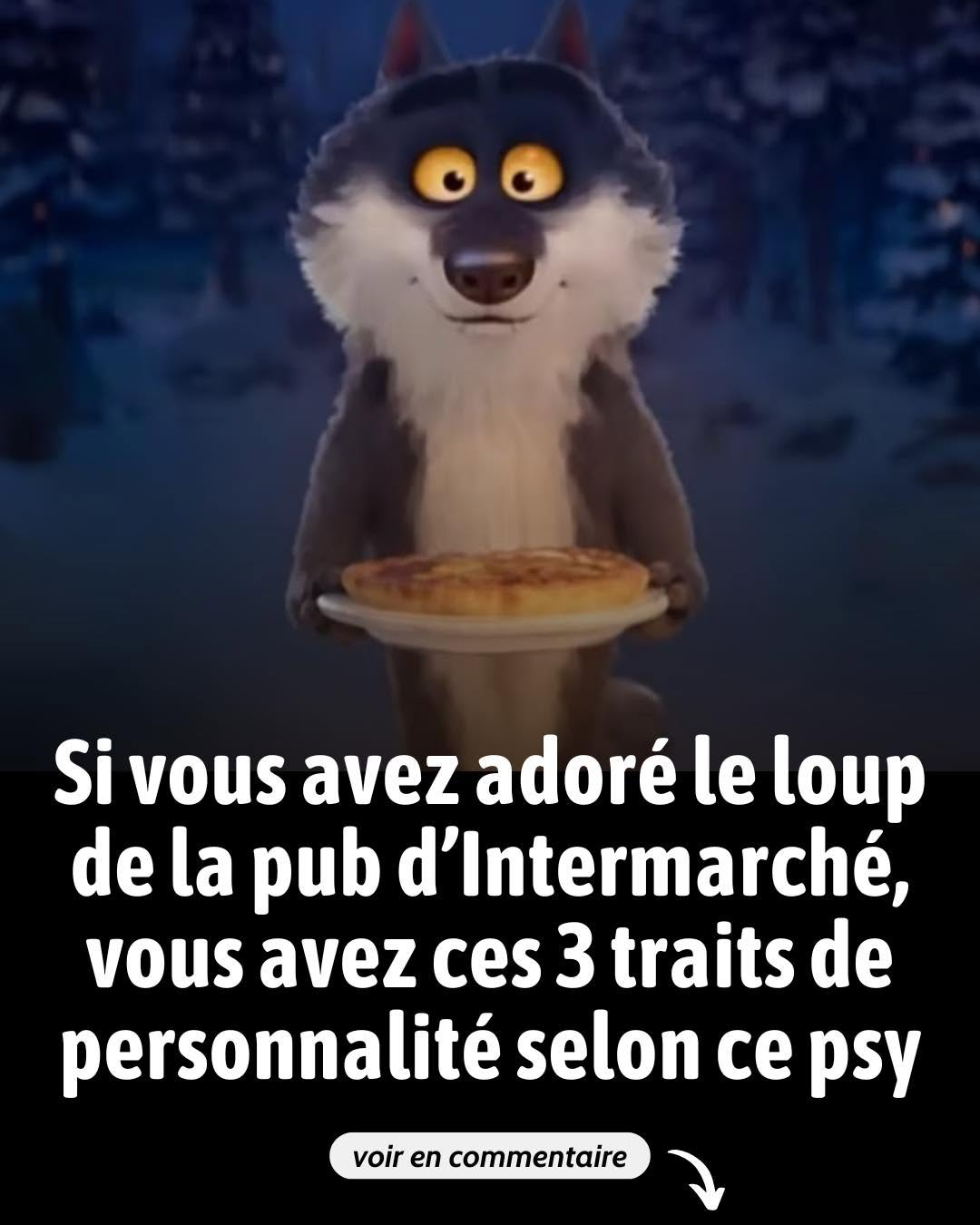 Si vous avez adoré le loup de la pub d’Intermarché, vous avez ces 3 traits de personnalité selon ce psy