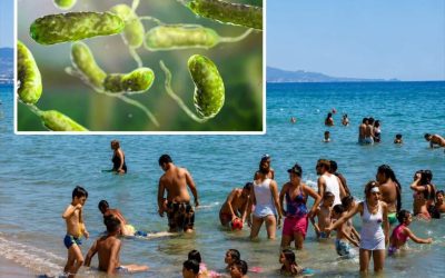 Des bactéries mangeuses de chair sèment l'inquiétude en mer : risques pour les nageurs (1/2)