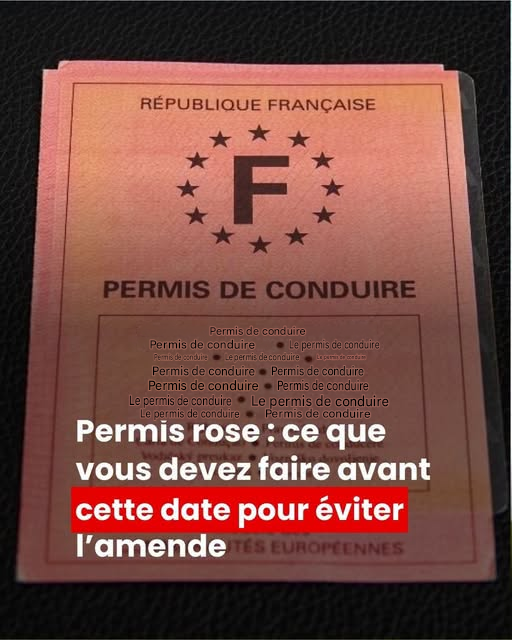 Permis de conduire rose : le compte à rebours est lancé pour le remplacer !
